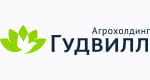 ГУДВИЛЛ