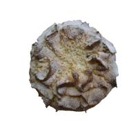 Печенье сдобное Хризантема, Кондика, 2,5 кг.